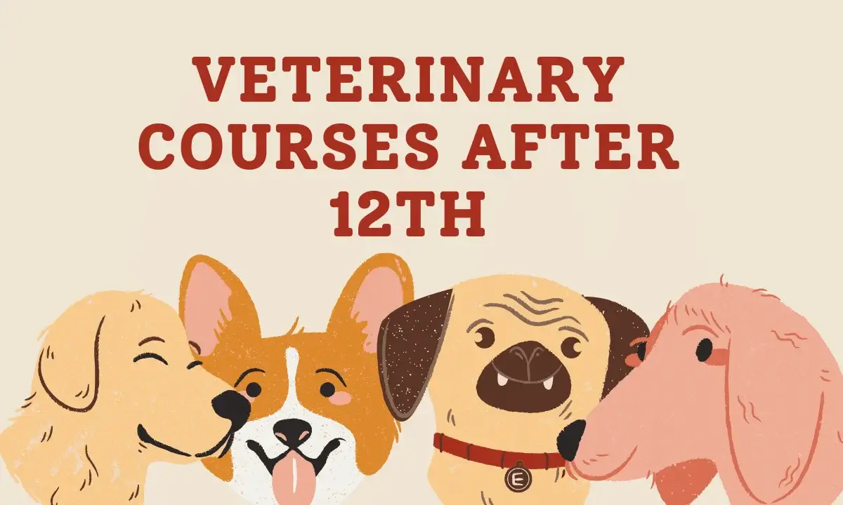 Veterinary-Courses-After-12th